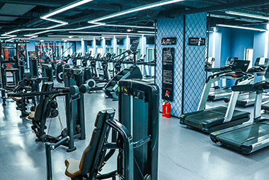 �Ƿ����ʽ������Ľ쿵�����